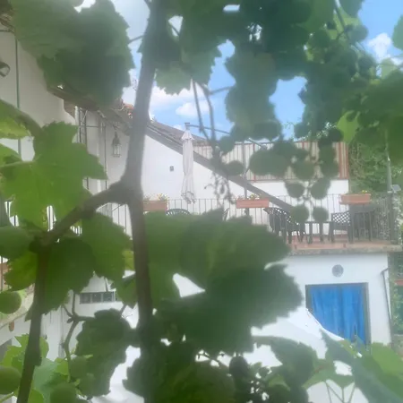 Nyaraló Langhe Farigliano