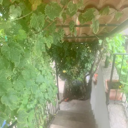 Langhe Holiday home *