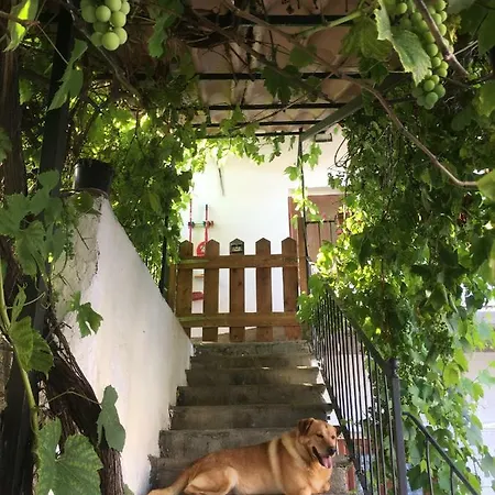Holiday home Langhe